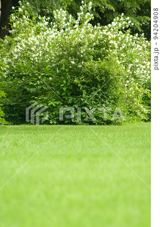 park glade park glade 94204908
