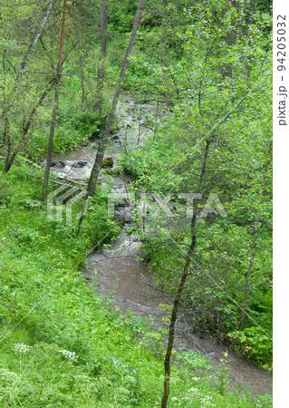 mountain river flows in forest under a bias mountain river flows in forest under a bias 94205032