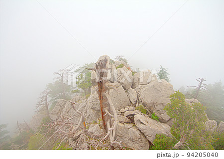 top of mountain in fog top of mountain in fog 94205040