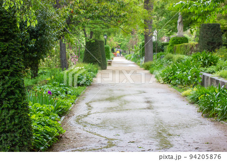 Empty beautiful straight road path goes into a distance at Real Jardin Botanico in Madrid, Spain. Spring botanical garden with lots of green vegetation, blossoming bushes, trees in spring summer park. Empty beautiful straight road path goes into a distance at Real Jardin Botanico in Madrid, Spain. Spring botanical garden with lots of green vegetation, blossoming bushes, trees in spring summer park. 94205876