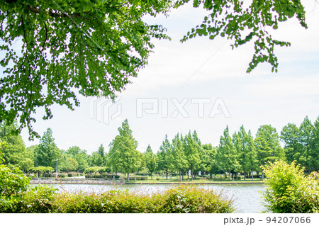 水元公園 小合溜／東京都葛飾区 94207066