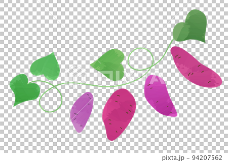 紅薯收穫矢量圖 94207562