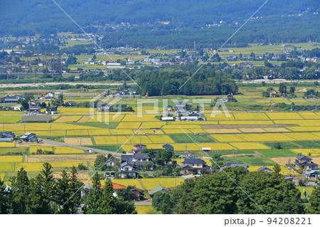 9月の安曇野　黄金色の秋 94208221