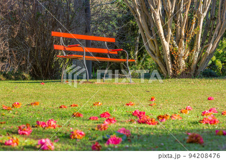 Take a seat and relax, bench in Public park in Gramado, Southern Brazil Take a seat and relax, bench in Public park in Gramado, Southern Brazil 94208476