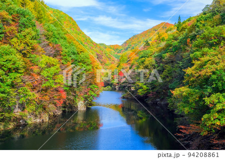 紅葉する奥利根川 紅葉する奥利根川 94208861