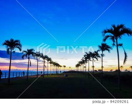 ヤシの木ロード 94209261