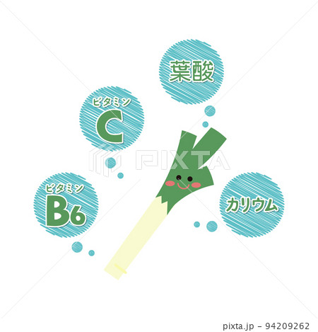 長ネギの栄養素 長ネギの栄養素 94209262