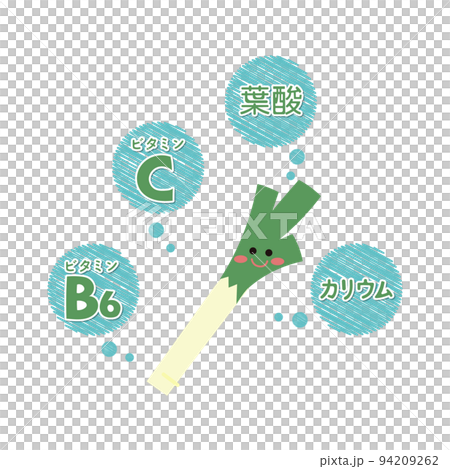 長ネギの栄養素 長ネギの栄養素 94209262