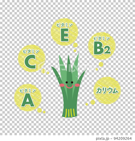 にらの栄養素 94209264