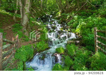 強清水の滝　初夏の季節 94209628