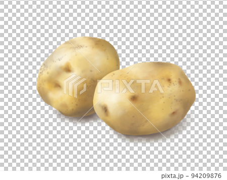 重なるジャガイモのリアルな水彩イラスト 重なるジャガイモのリアルな水彩イラスト 94209876