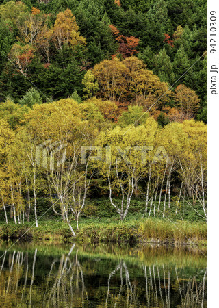 紅葉を映す木戸池 紅葉を映す木戸池 94210309