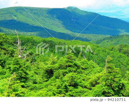 麦草峠 高見石からの山々 麦草峠 高見石からの山々 94210751