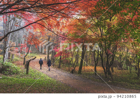 211108城山公園z075 94210865