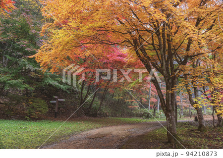 211108城山公園z011 94210873