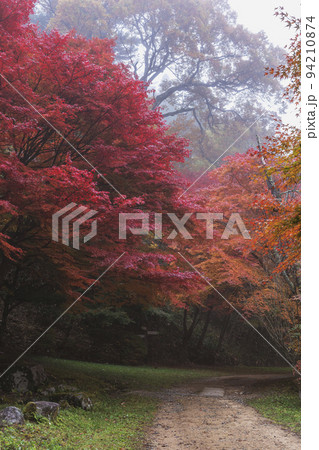 211108城山公園z002 94210874