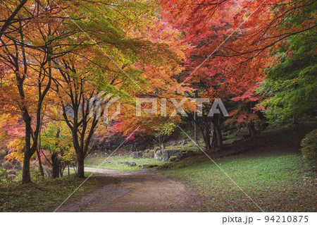 211107城山公園z062 211107城山公園z062 94210875