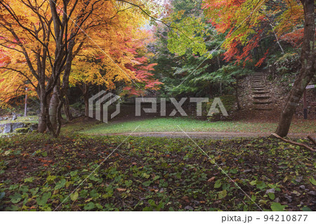 211107城山公園z044 94210877