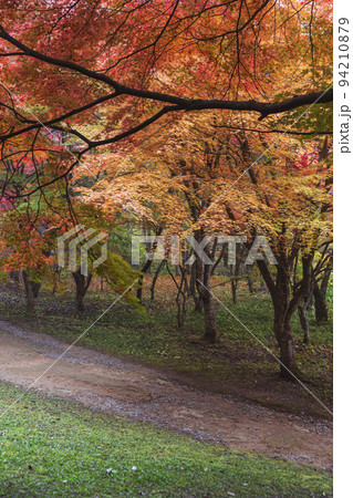 211107城山公園z022 211107城山公園z022 94210879