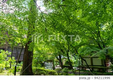 金剛輪寺 金剛輪寺 94211996