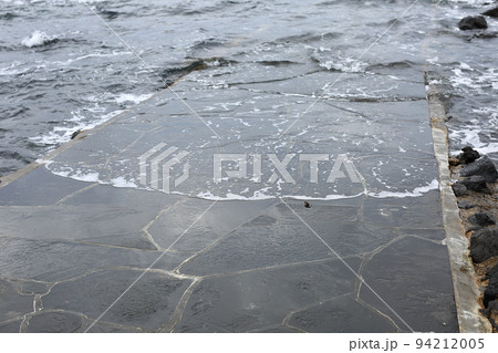 海 冬 外 94212005
