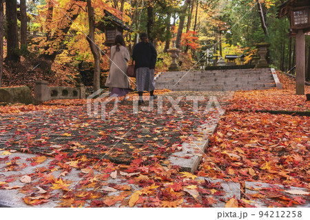 211110日枝神社z109 211110日枝神社z109 94212258
