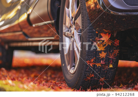 211110日枝神社g001 94212268