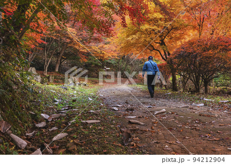 211111城山公園z182 94212904