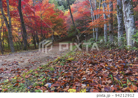 211111城山公園z069 94212912