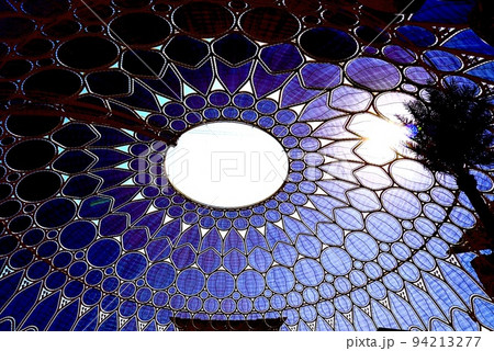 甲羅模様ドーム 甲羅模様ドーム 94213277