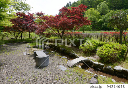 石道寺 庭園 滋賀県長浜市 石道寺 庭園 滋賀県長浜市 94214058