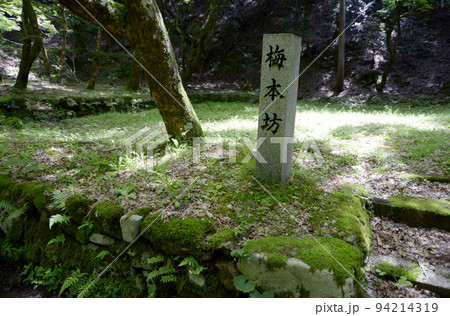 鶏足寺 塔頭梅本坊 滋賀県長浜市 鶏足寺 塔頭梅本坊 滋賀県長浜市 94214319