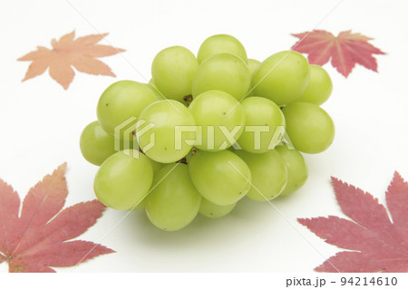 シャインマスカット 94214610