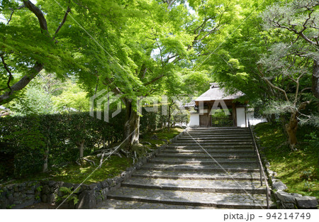新緑の安楽寺 参道と山門 京都市左京区鹿ケ谷 新緑の安楽寺 参道と山門 京都市左京区鹿ケ谷 94214749