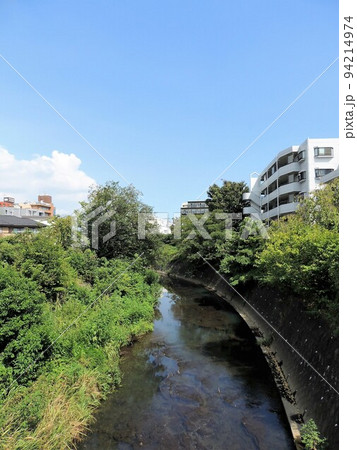 帷子川 帷子川 94214974