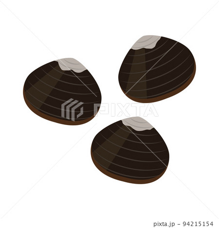 しじみのイラスト 94215154