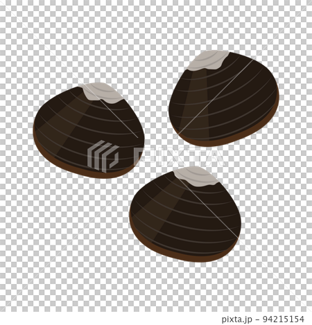 しじみのイラスト 94215154