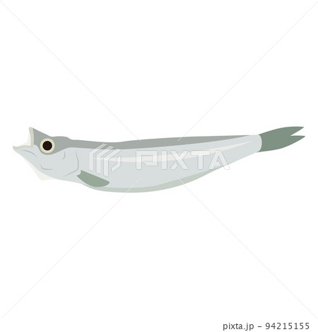 ししゃものイラスト ししゃものイラスト 94215155