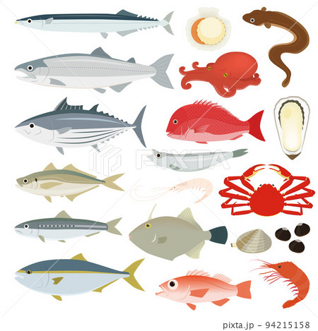 魚介類のイラストセットのイラスト素材 [94215158] - PIXTA