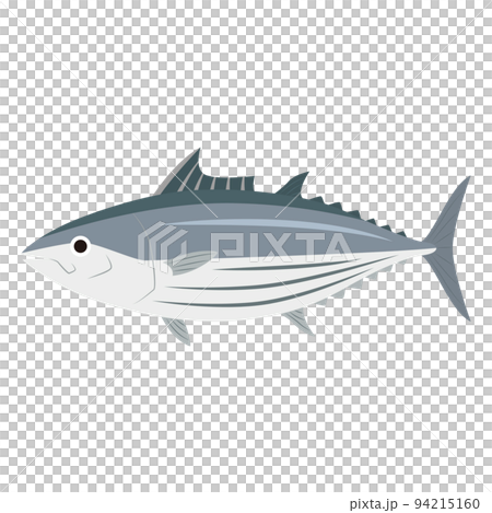 鰹魚的插圖 94215160