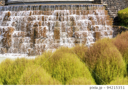 公園の風景　コキア並木　宮城県川崎町 94215351