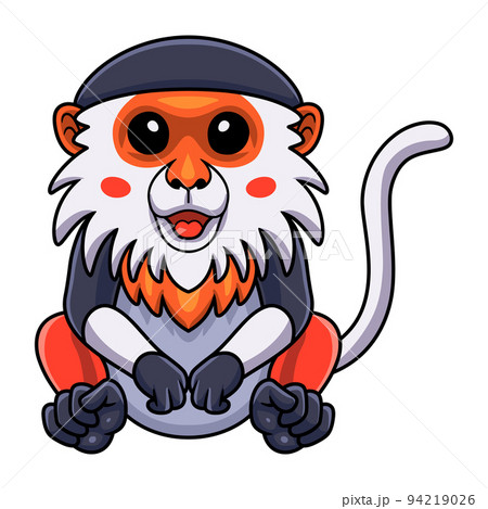 Cute red shanked douc monkey cartoon sitting	 94219026