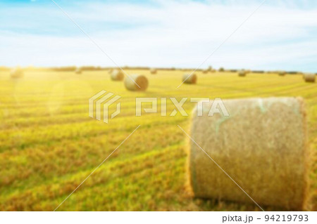 Bales of hay on field Bales of hay on field 94219793