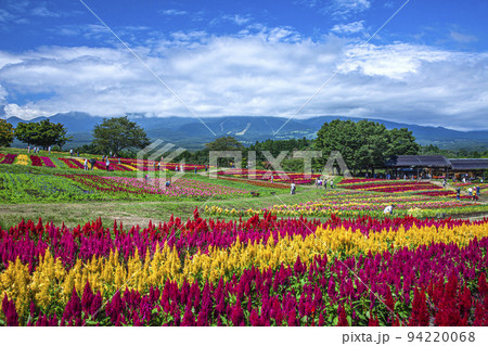 那須フラワーワールド 那須フラワーワールド 94220068