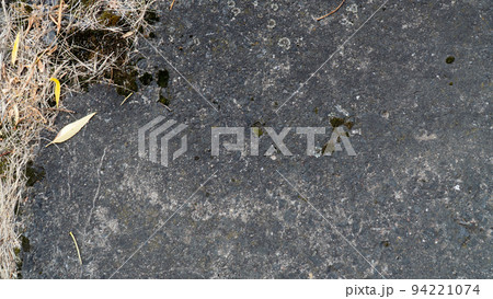 stone with moss and leaves background stone with moss and leaves background 94221074