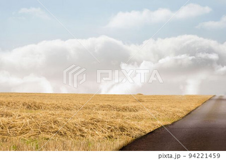 Road leading out to the horizon 94221459