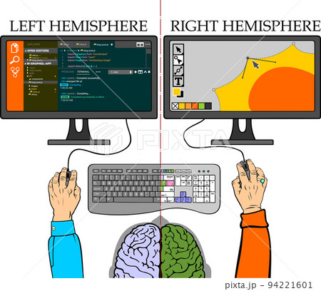 works of right and left brain hemispheres vector illustration 94221601