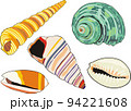 sea-shells 94221608