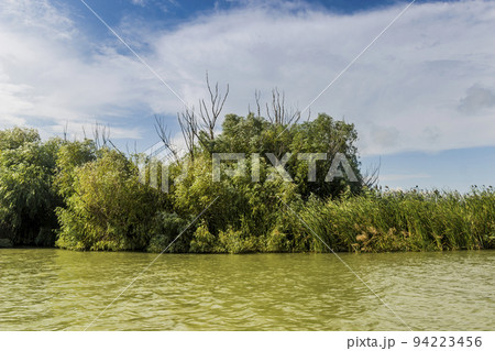 a riverside landscape of Danube delta, Odessa region, Ukraine 94223456