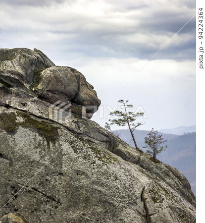 big stone head in the rocks of Dovbush in Ukrainian Carpathian 94224364